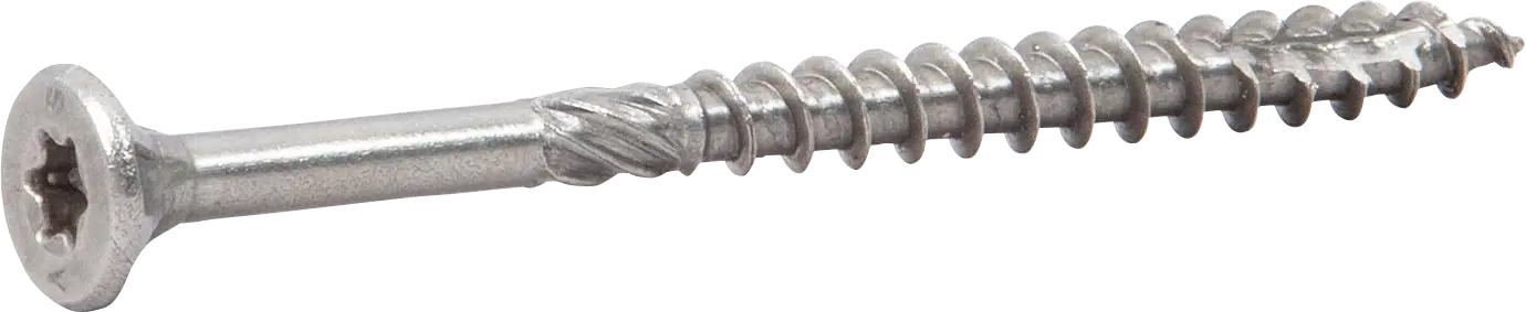 Medsraigtis 4,8x100 A4 (250vnt)